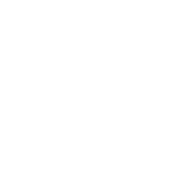 V0 logo